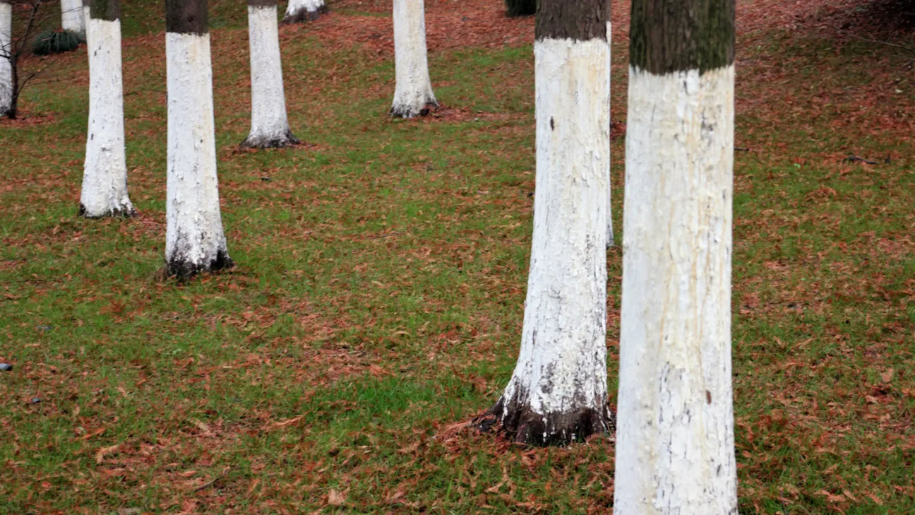 Baum streichen