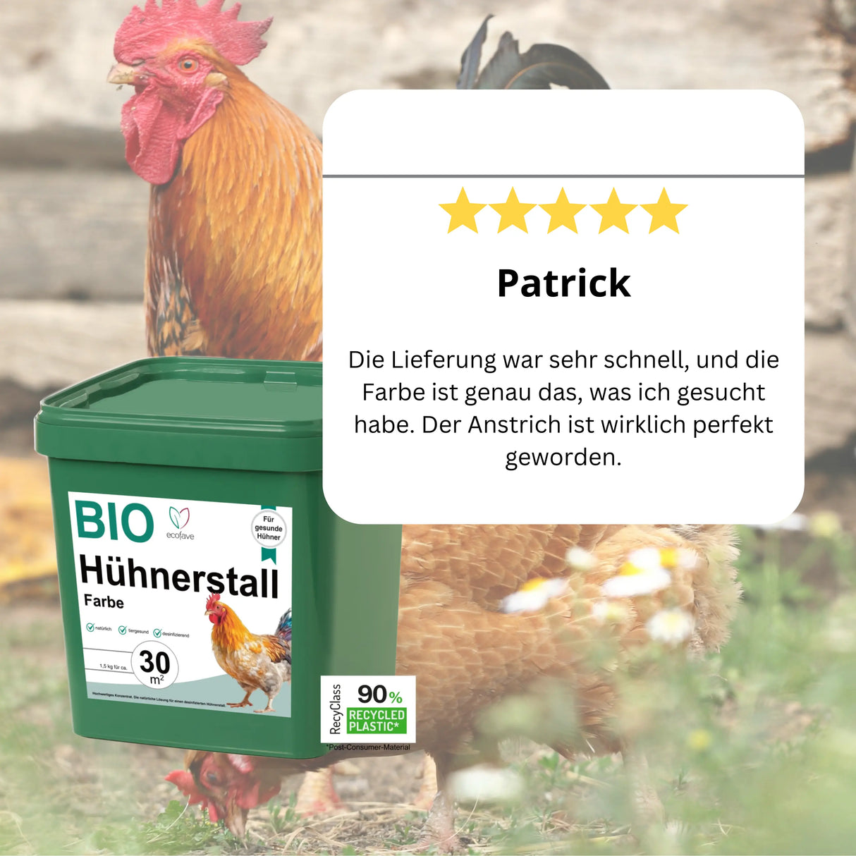 Hühnerstall-Farbe 1,5 kg (ca. 30 m²)