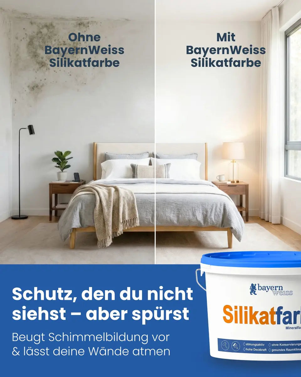 Silikatfarbe Innen | 6 kg / ca. 25 m²