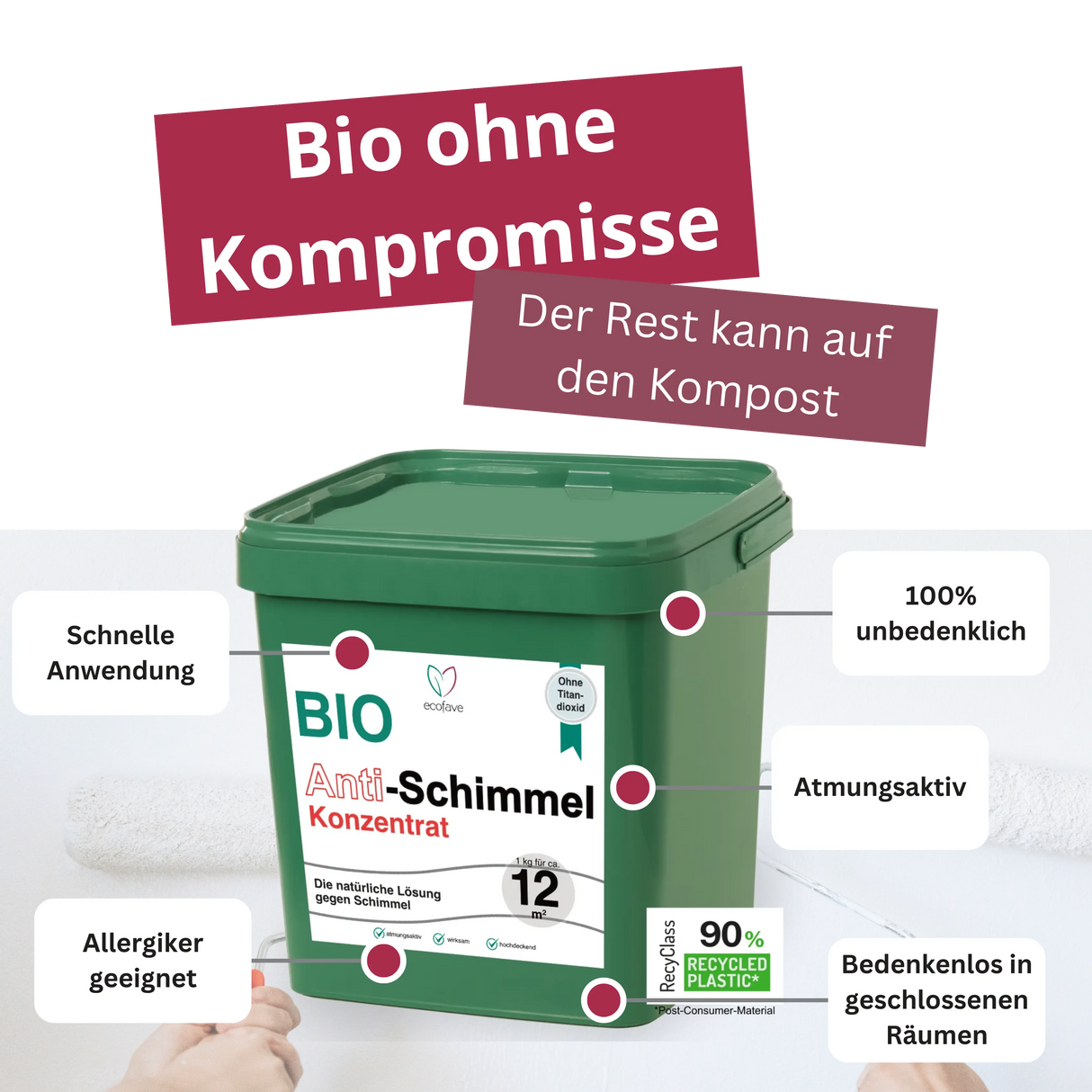 Anti-Schimmel-Konzentrat 1 kg (12 m²)