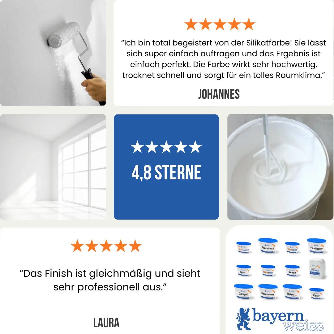 Kellerfarbe | Silikatfarbe 6 kg / ca. 30 m²