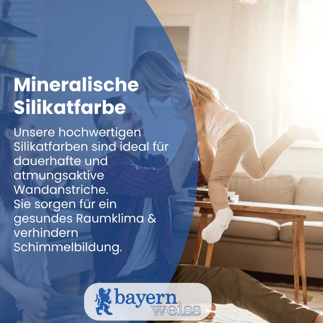 Kellerfarbe | Silikatfarbe 6 kg / ca. 30 m²