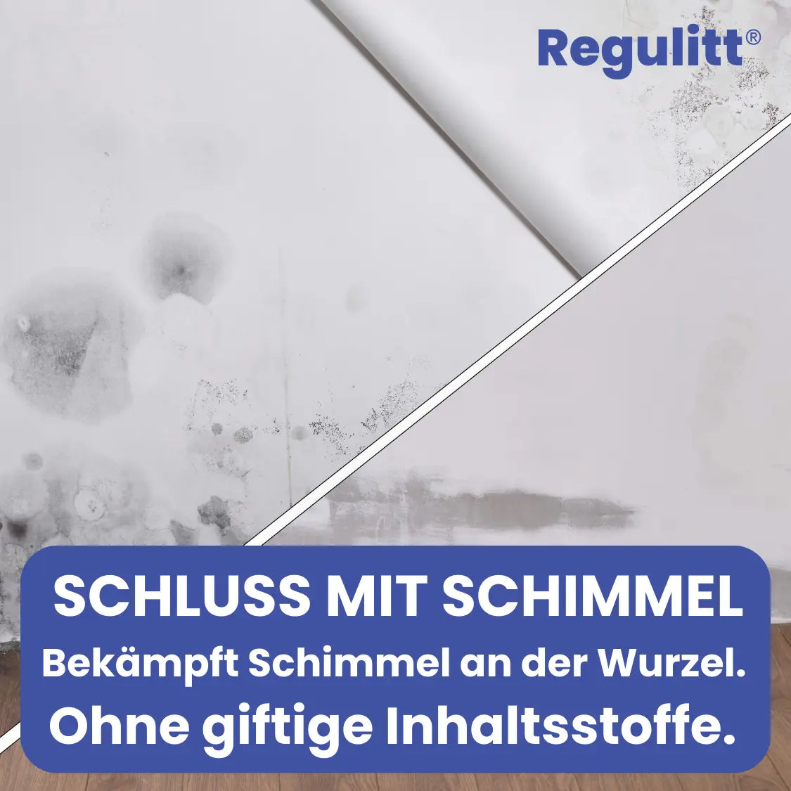 Anti-Schimmel-Farbe | 10 L / ca. 80 m²