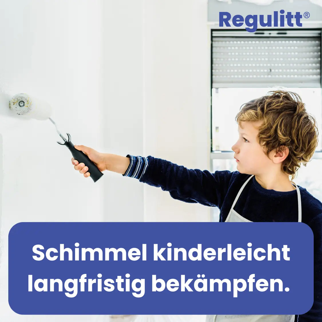 Anti-Schimmel-Farbe | 10 L / ca. 80 m²