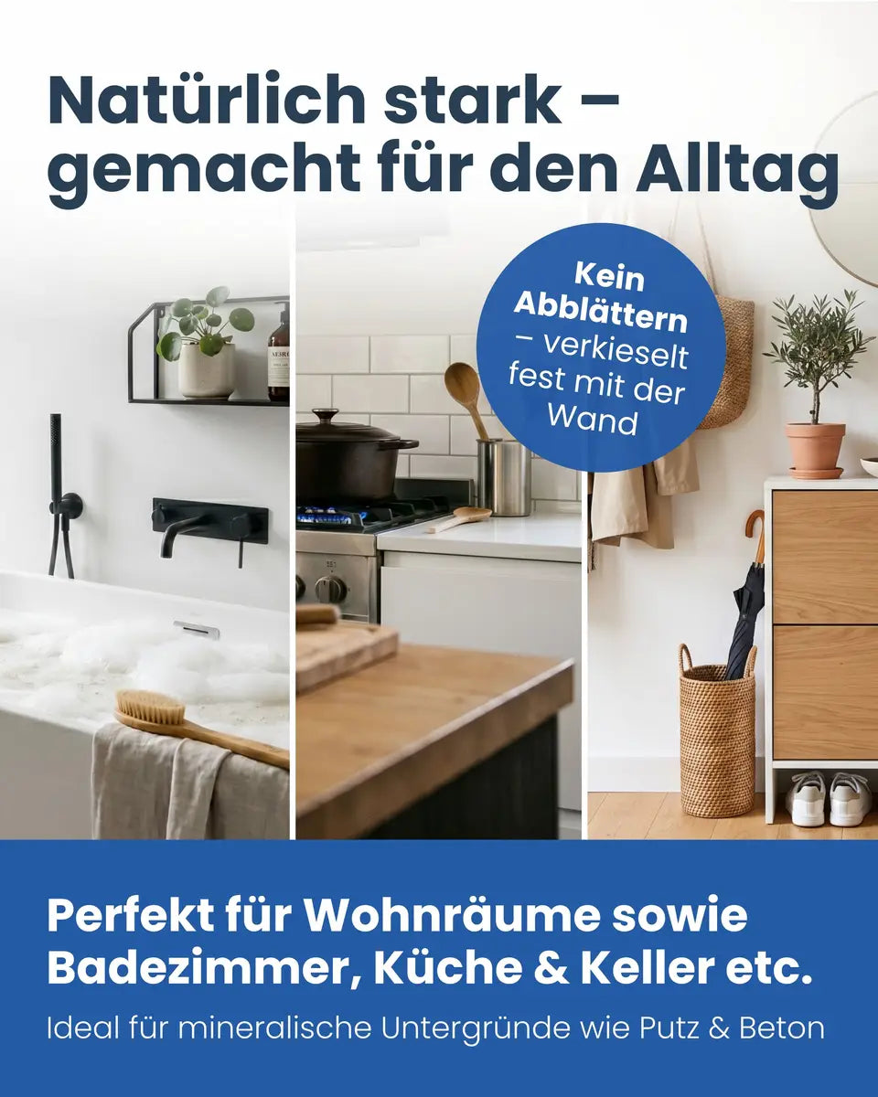 Silikatfarbe Innen | 6 kg / ca. 25 m²