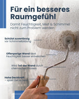 Kellerfarbe | Silikatfarbe 6 kg / ca. 30 m²