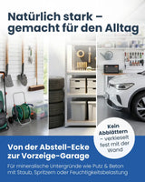 Garagenfarbe | Silikatfarbe 6 kg / ca. 30 m²