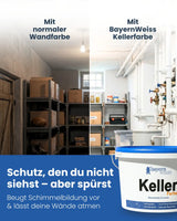Kellerfarbe | Silikatfarbe 14 kg / ca. 70 m²