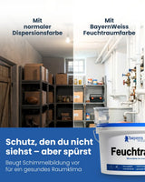 Feuchtraumfarbe | Silikatfarbe 14 kg / ca. 70 m²