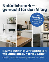 Feuchtraumfarbe | Silikatfarbe 14 kg / ca. 70 m²