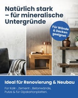 Silikatspachtel | 5 kg - Wand & Decke
