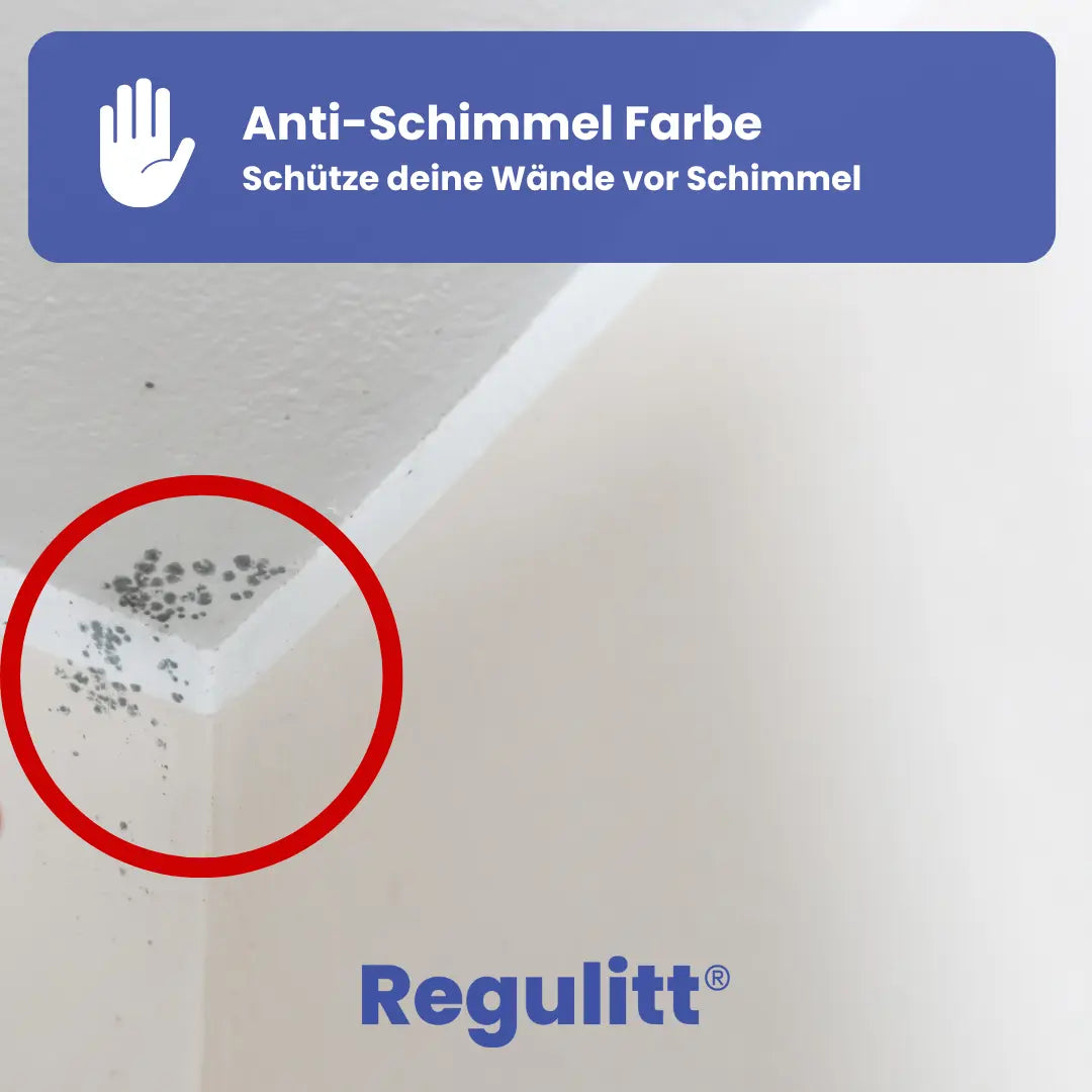 Anti-Schimmel-Farbe | 10 L / ca. 80 m²